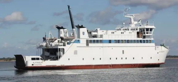 Alfågeln